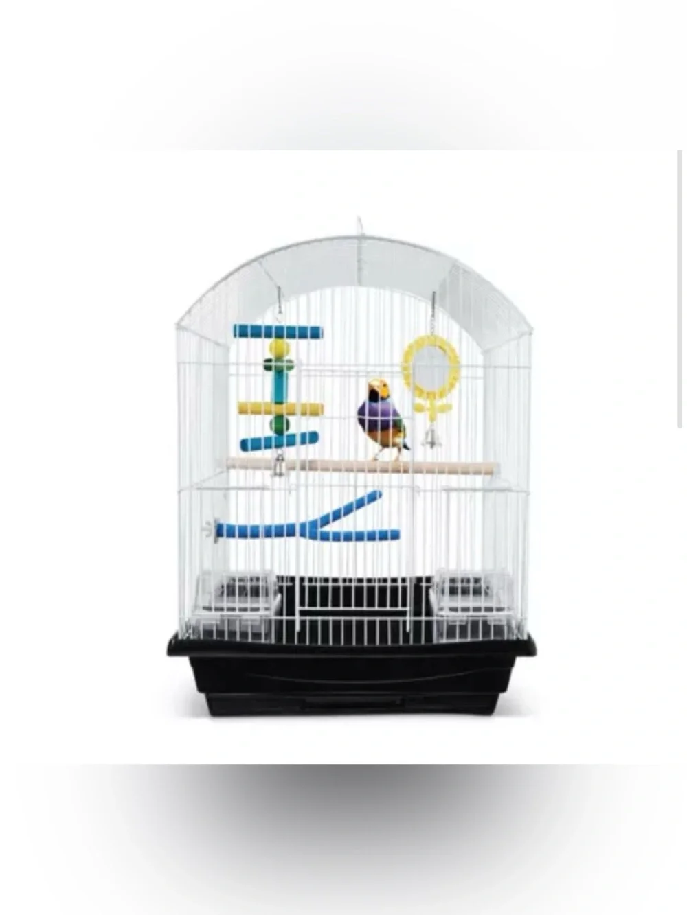 All Living Things® All-In-One Bird Cage